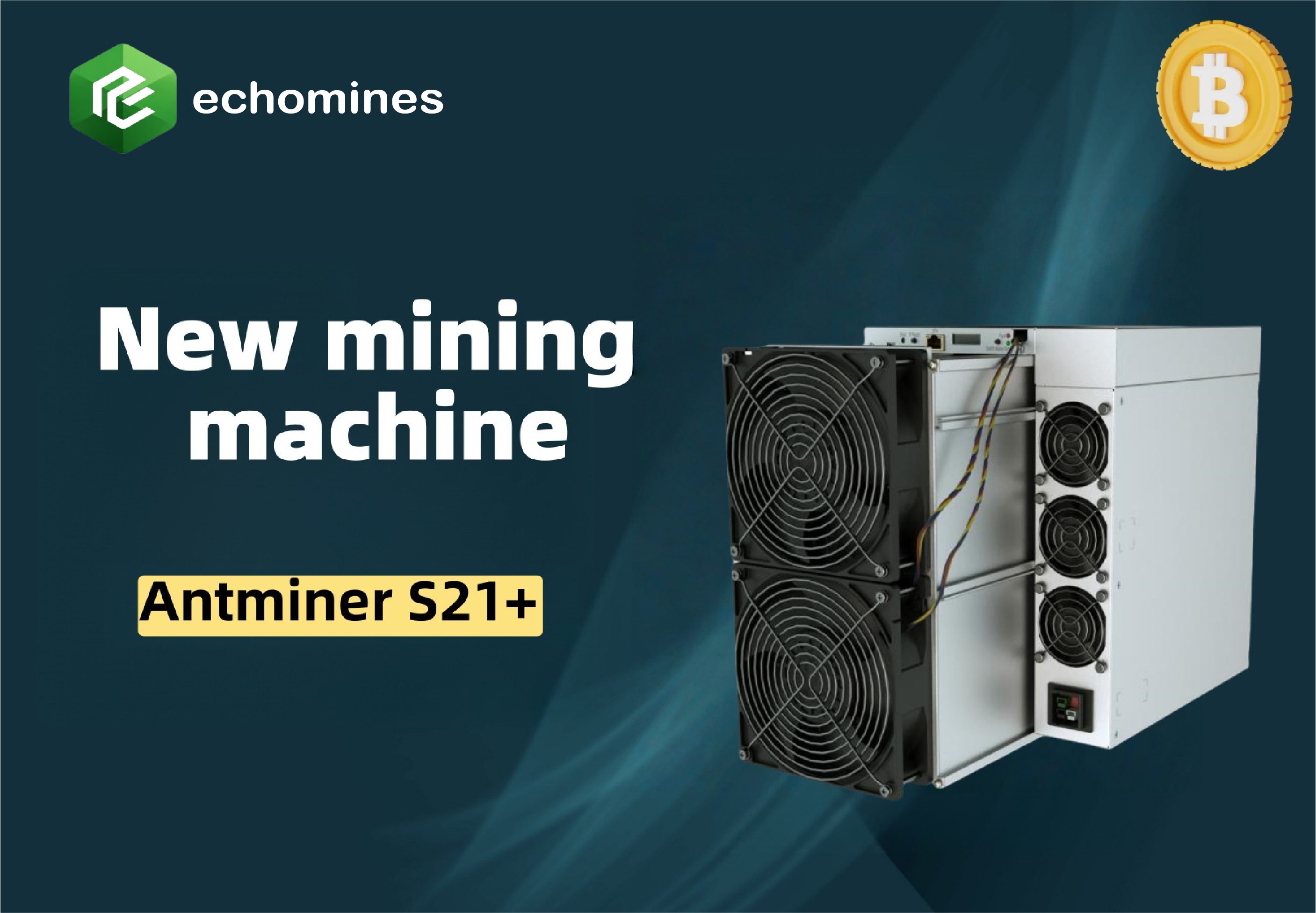 Crypto Investment Growth